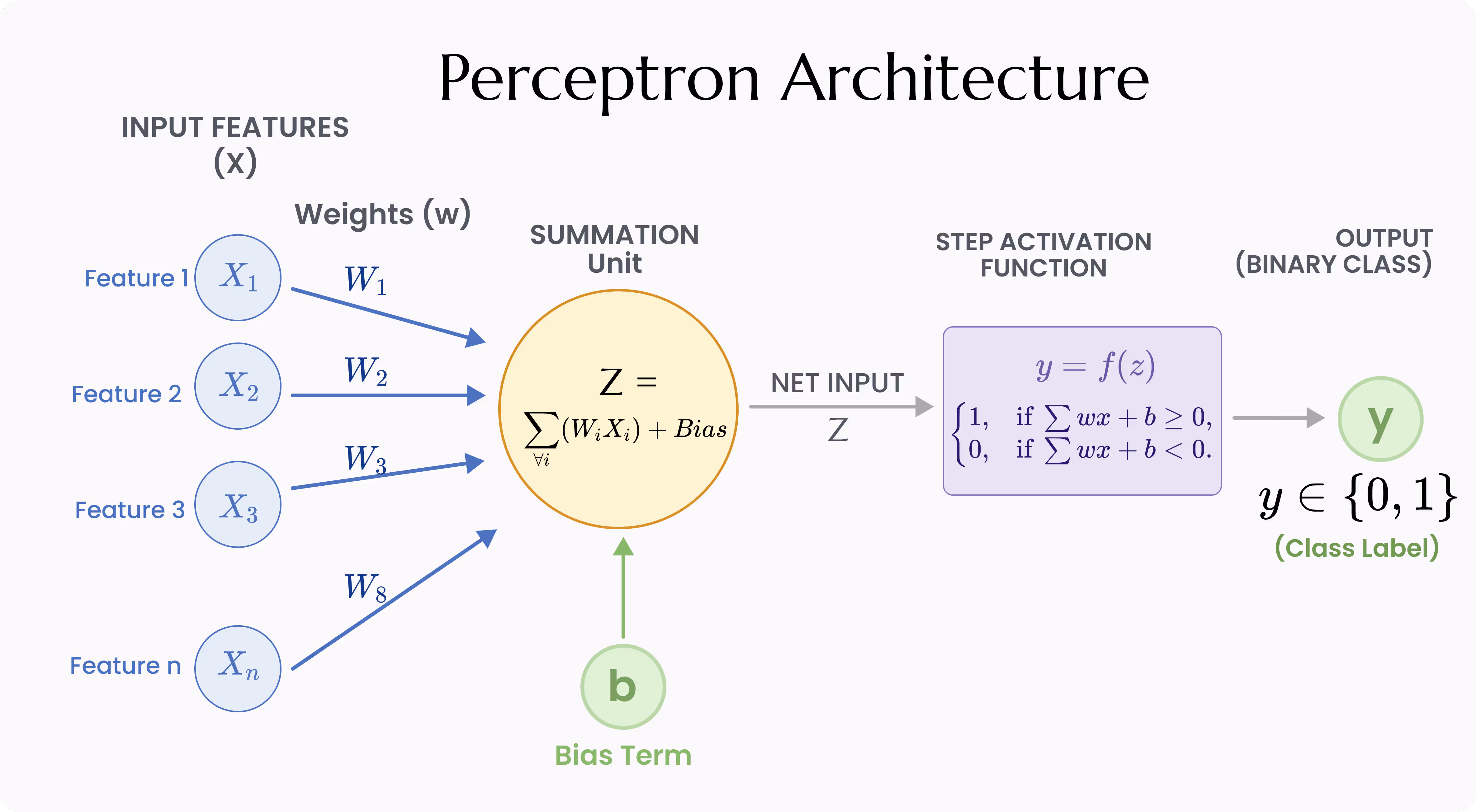 Diagram of a Perceptron showing input features, weights, bias term, summation unit, and step activation function producing a binary classification output.